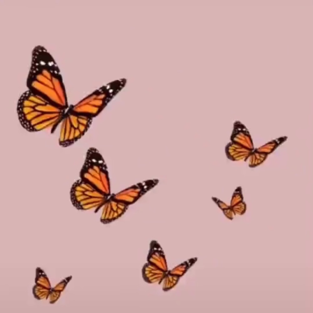 Meet your Posher, Kylie